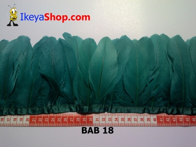 Bulu angsa BAB 18   feather  large2